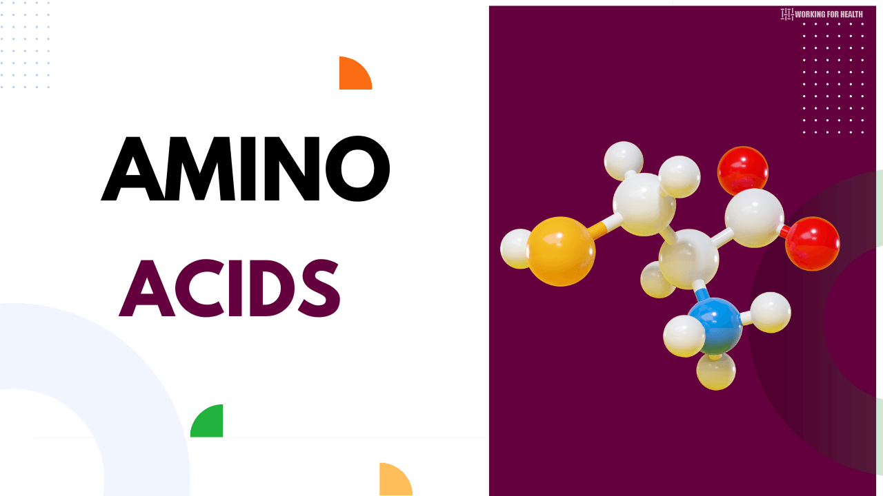 Amino acid