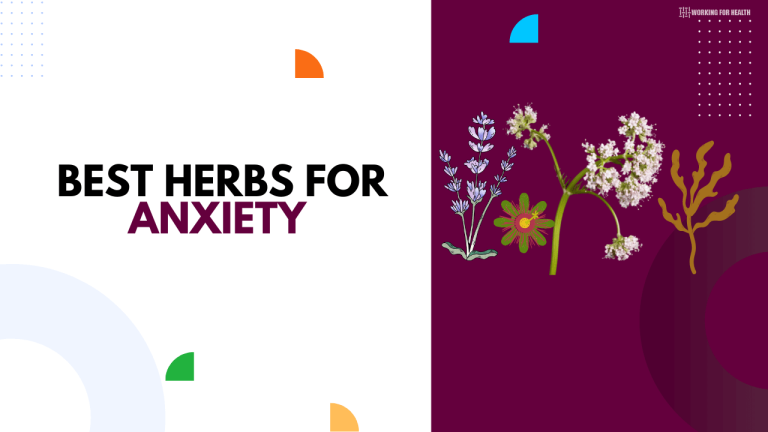 Herbs For Anxiety That Are Quick Effective Working For Health