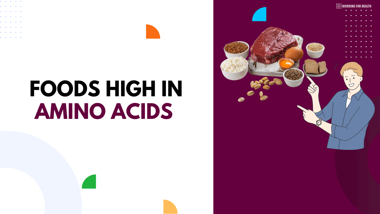 Foods High In Amino Acids