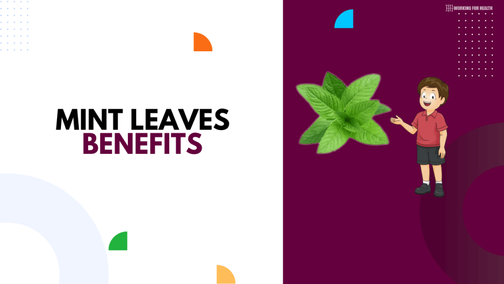 11 Mint Leaves Benefits Working for Health