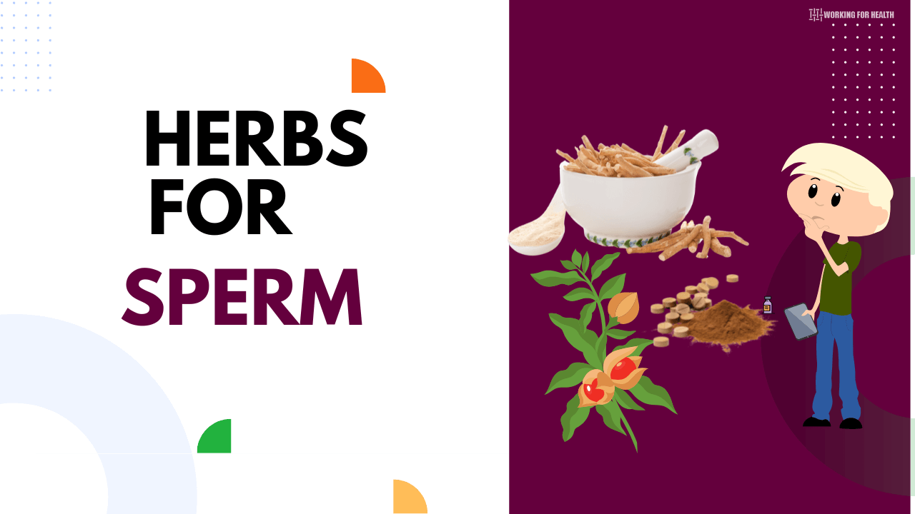 11 Herbs To Increase Sperm Count Naturally Working For Health