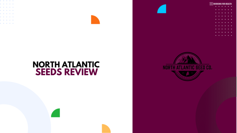 North Atlantic Seeds Review