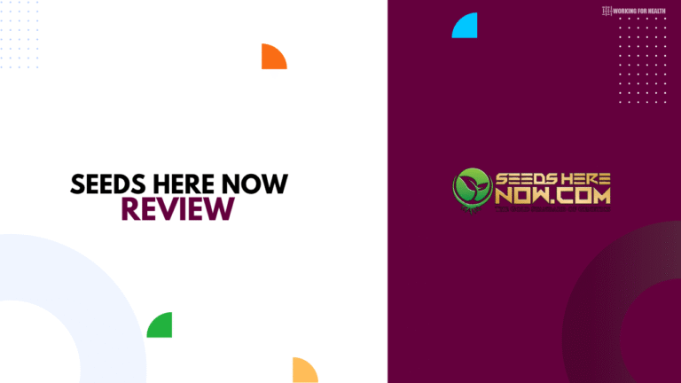 Seeds Here Now Review